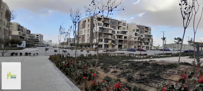 فلیٹ 3 غرف نوم للبيع في القاهرة الجديدة، القاهرة - 20260109_155515. jpg