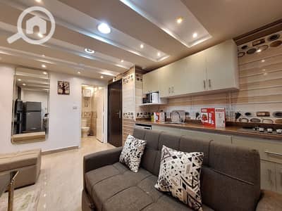 Studio for Rent in Nasr City, Cairo - 1000489389. jpg