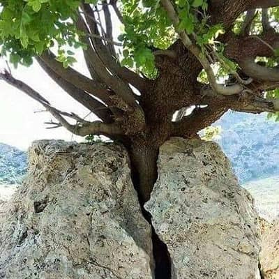أرض  للبيع في مدينة بدر، القاهرة - قطعة أرض