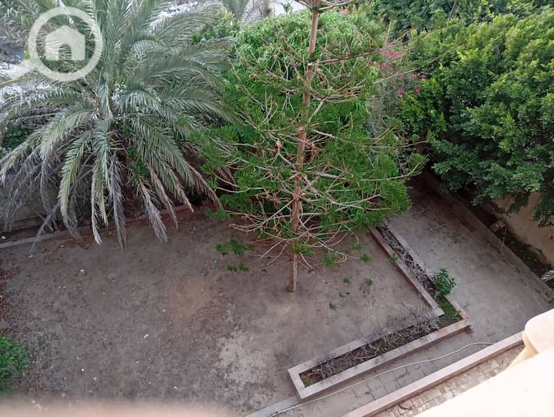 31 587. jpg