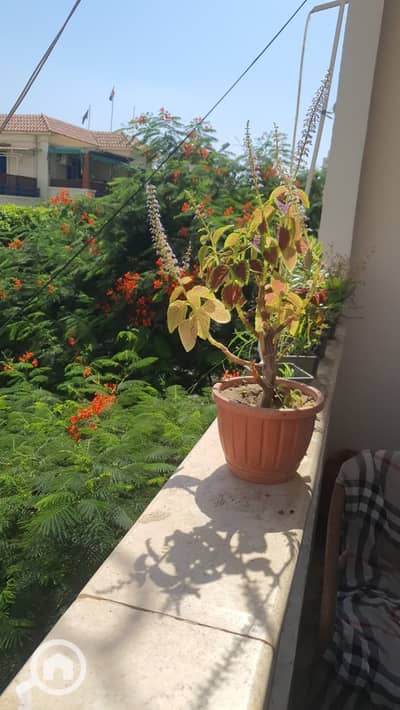 غرفة 1 غرفة نوم للايجار في كفر عبدو، الإسكندرية - IMG-20260916-WA0059. jpg