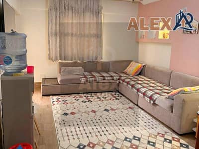 3 Bedroom Flat for Sale in Gianaclis, Alexandria - WhatsApp Image 2026-09-17 at 6.17. 35 PM. jpeg