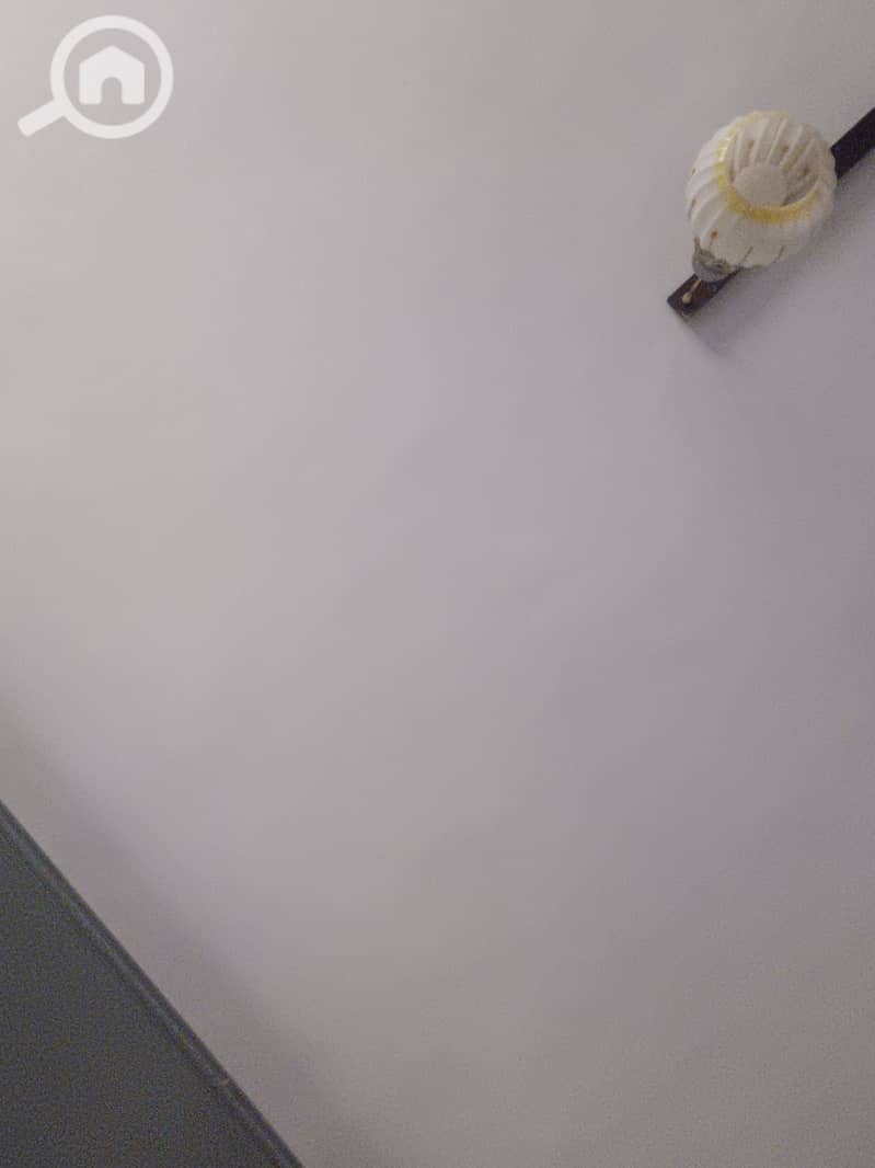 7 1000630231. jpg
