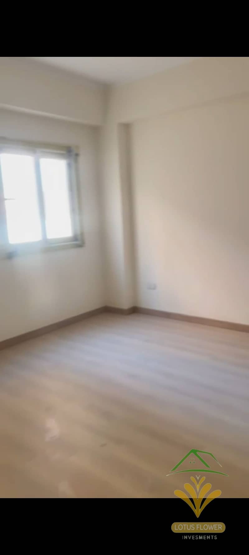 3 1001258450. jpg