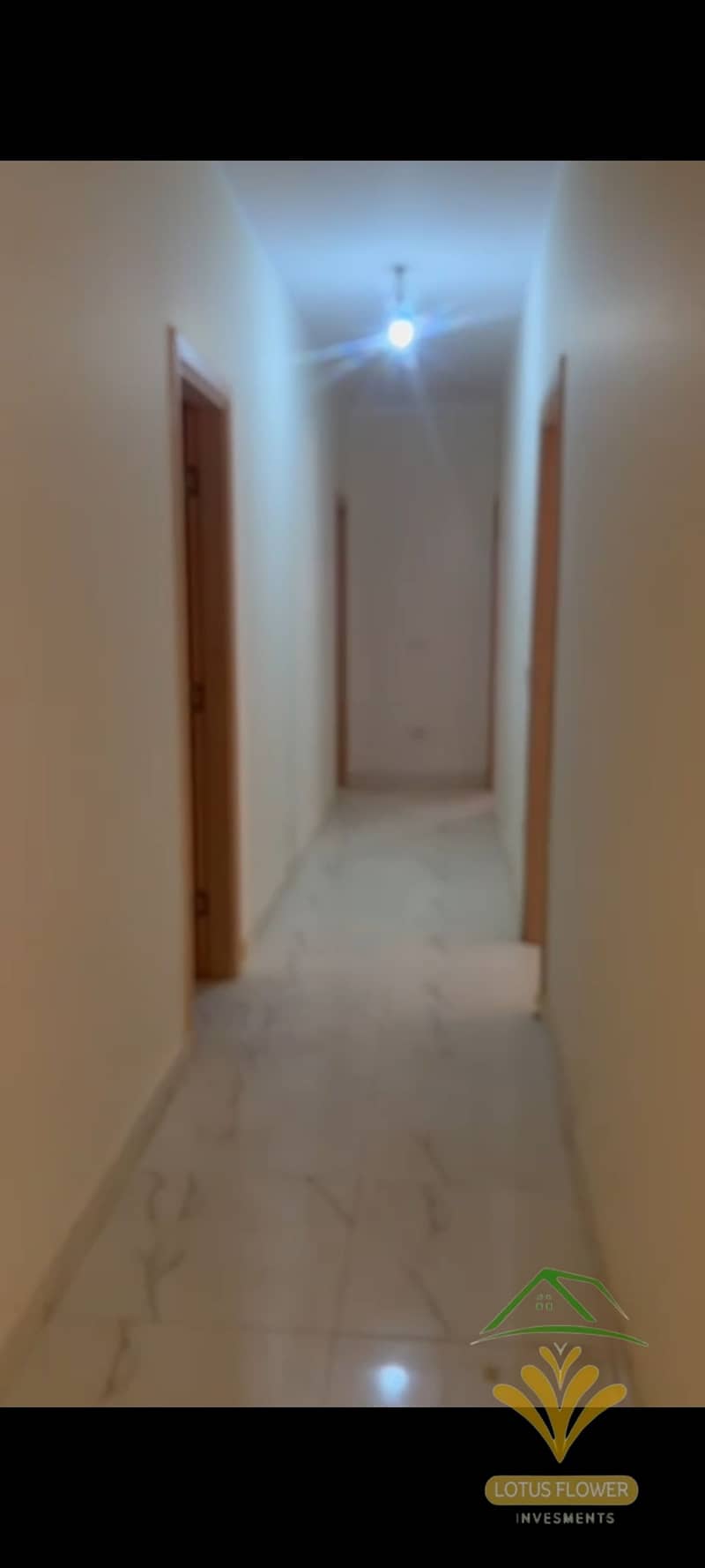 8 1001258446. jpg