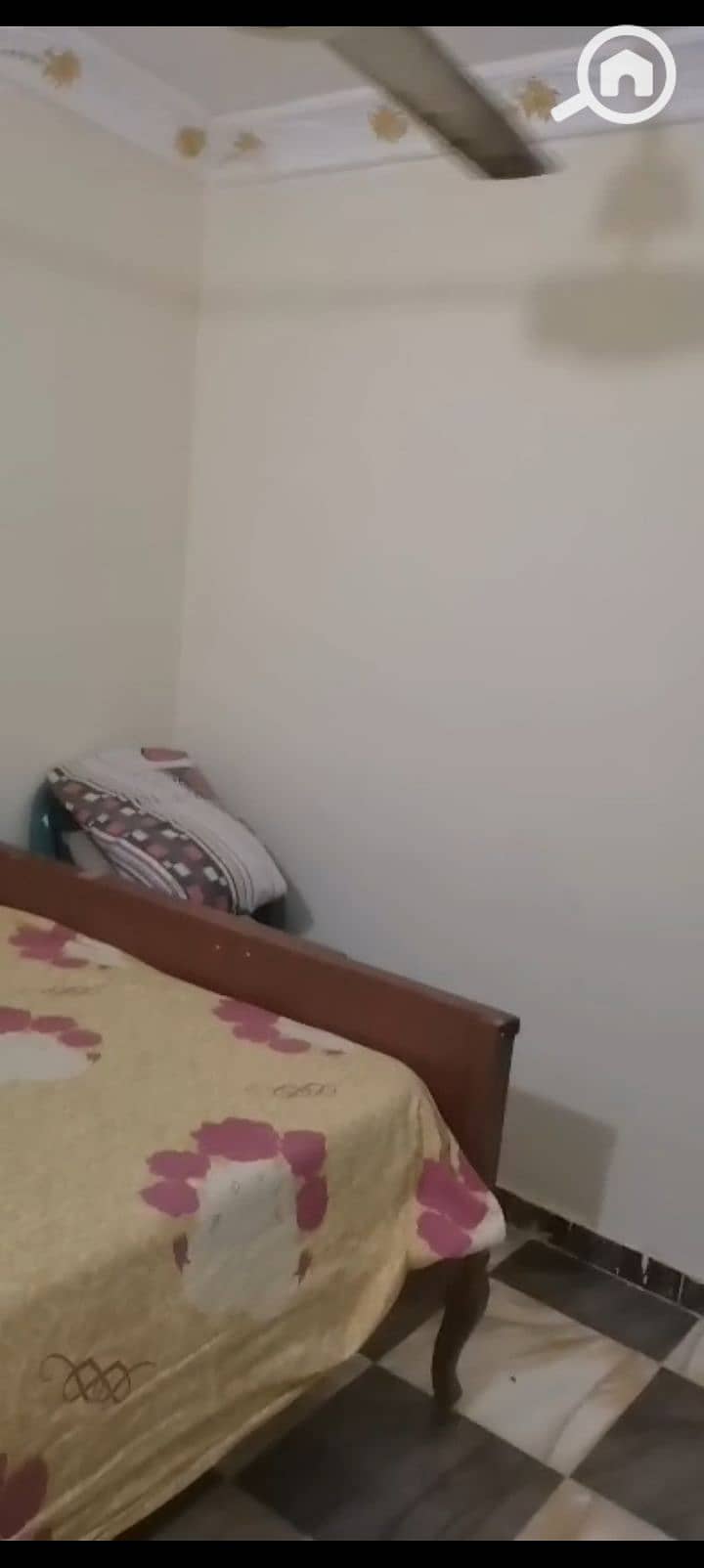 5 1001126104. jpg