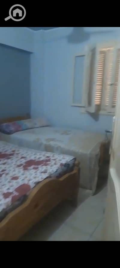 شقة 2 غرفة نوم للايجار في النخيل، الإسكندرية - 1001124982. jpg شقة 2 غرفة نوم للايجار في النخيل، الإسكندرية - 1001124982. jpg