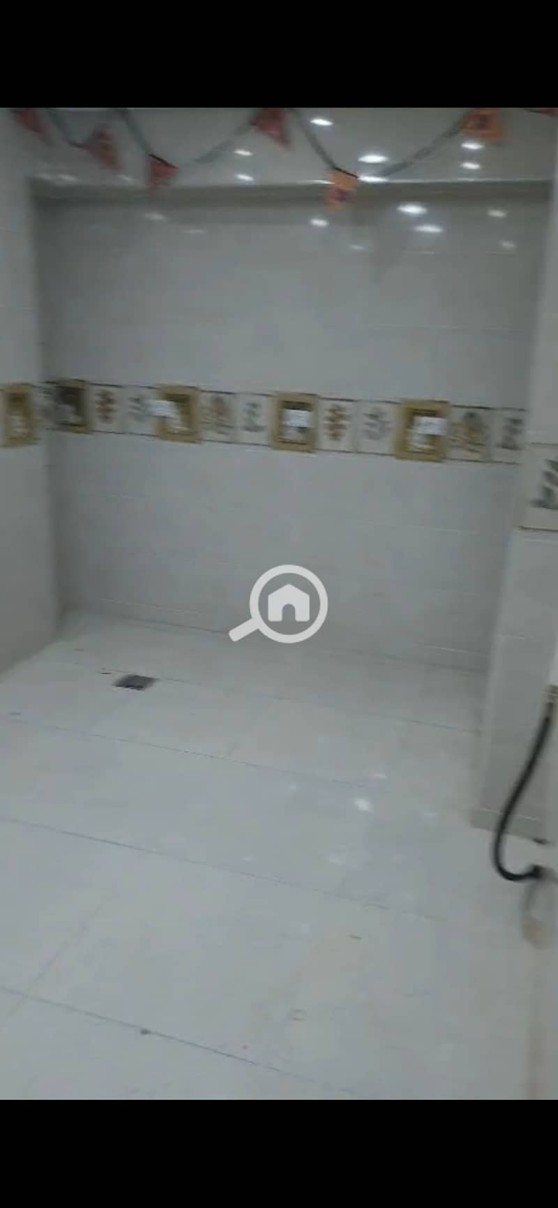 11 984482. jpg