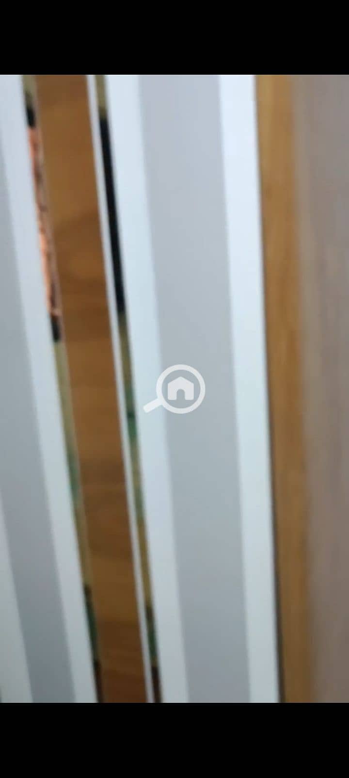 6 1001126646. jpg