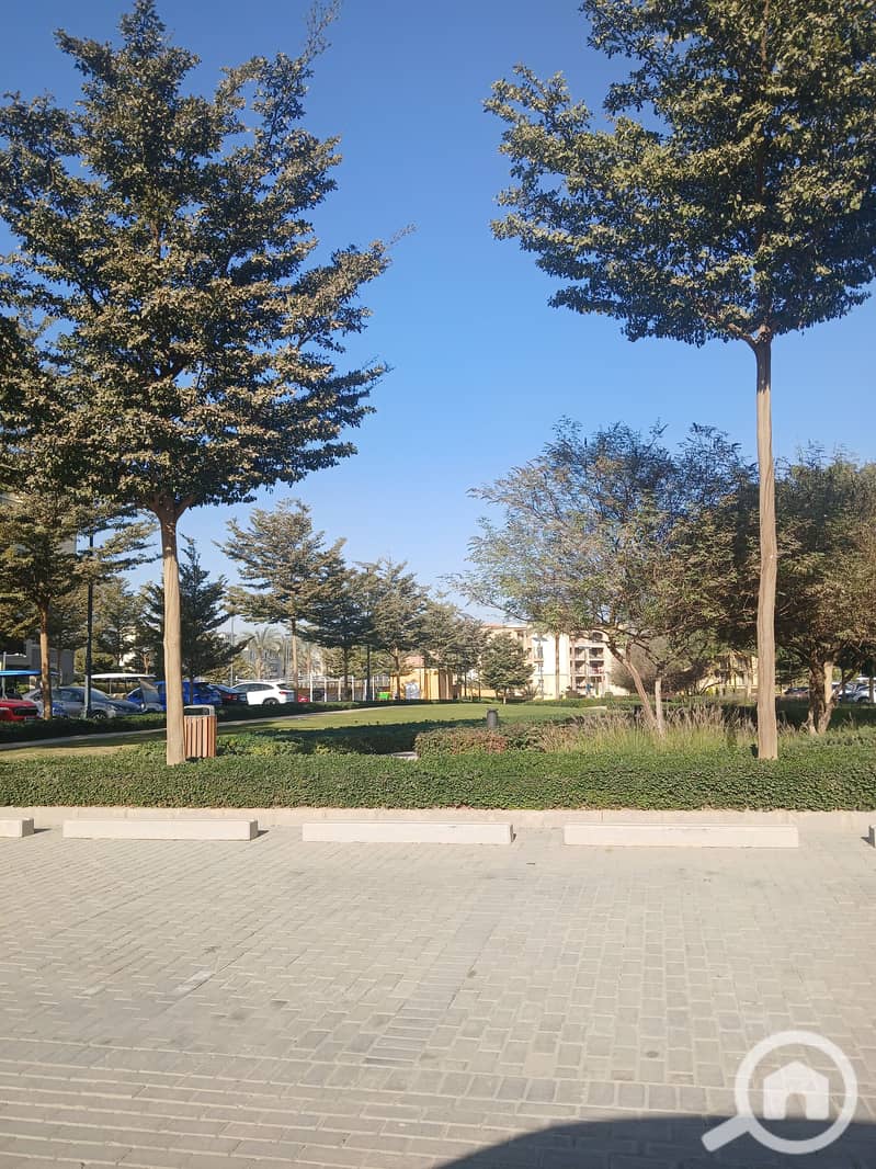 11 20260107_143710. jpg