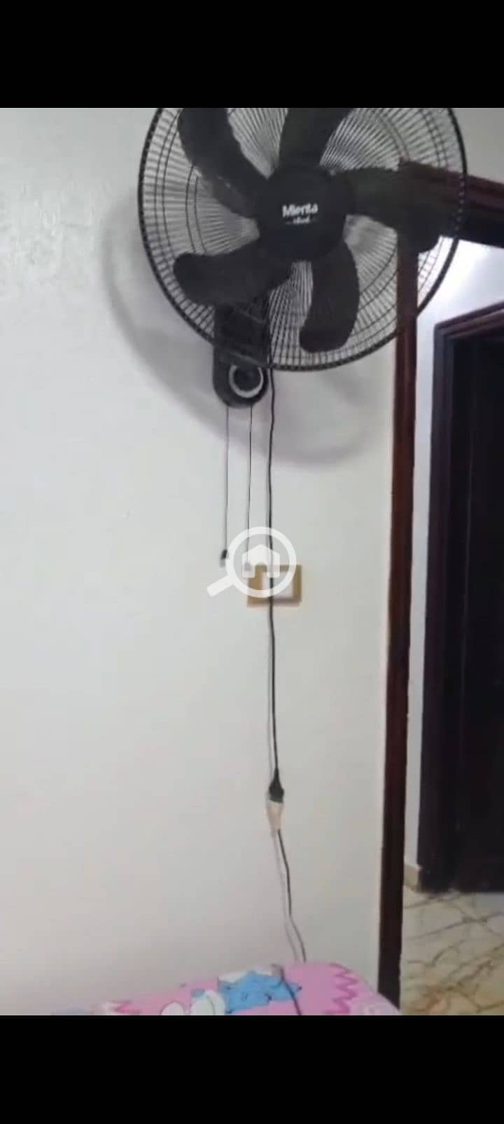 19 1001126729. jpg