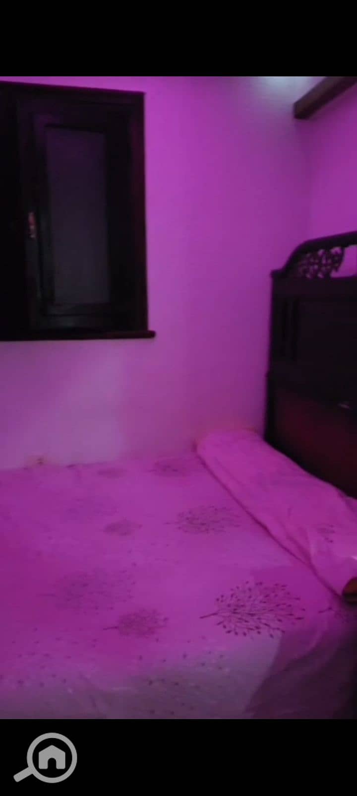 2 1001126734. jpg