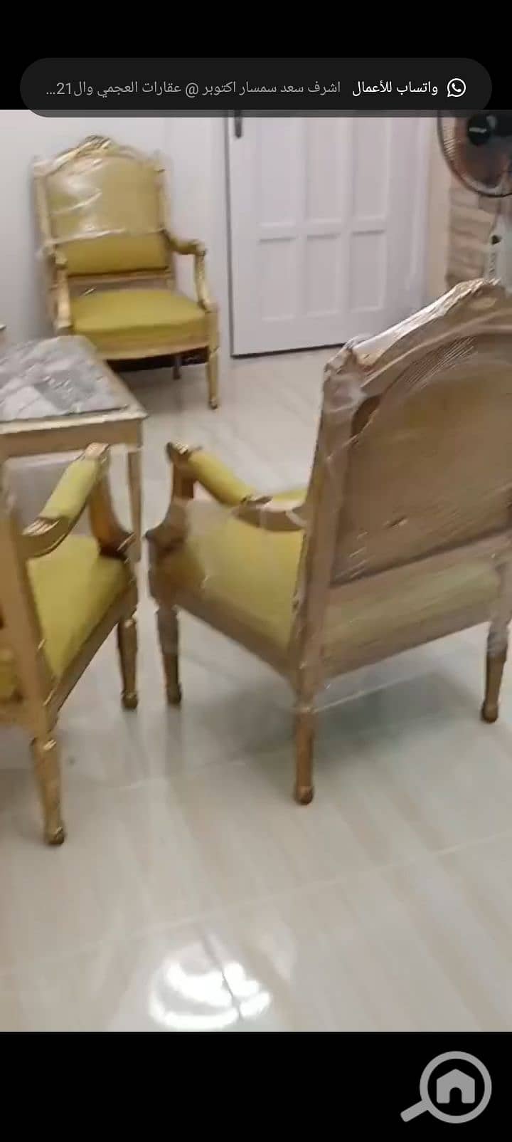 10 1001126843. jpg