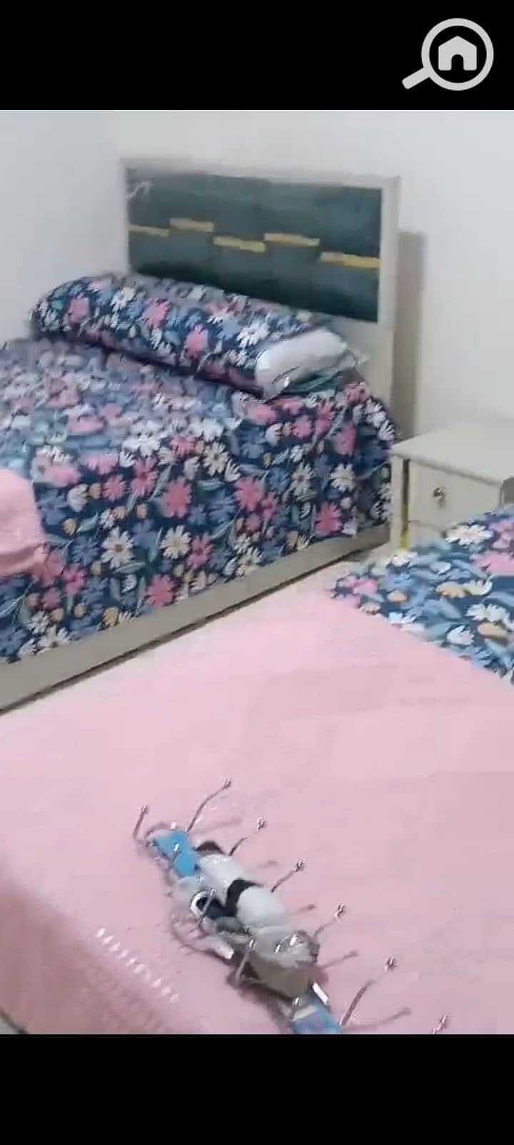 4 1001126867. jpg