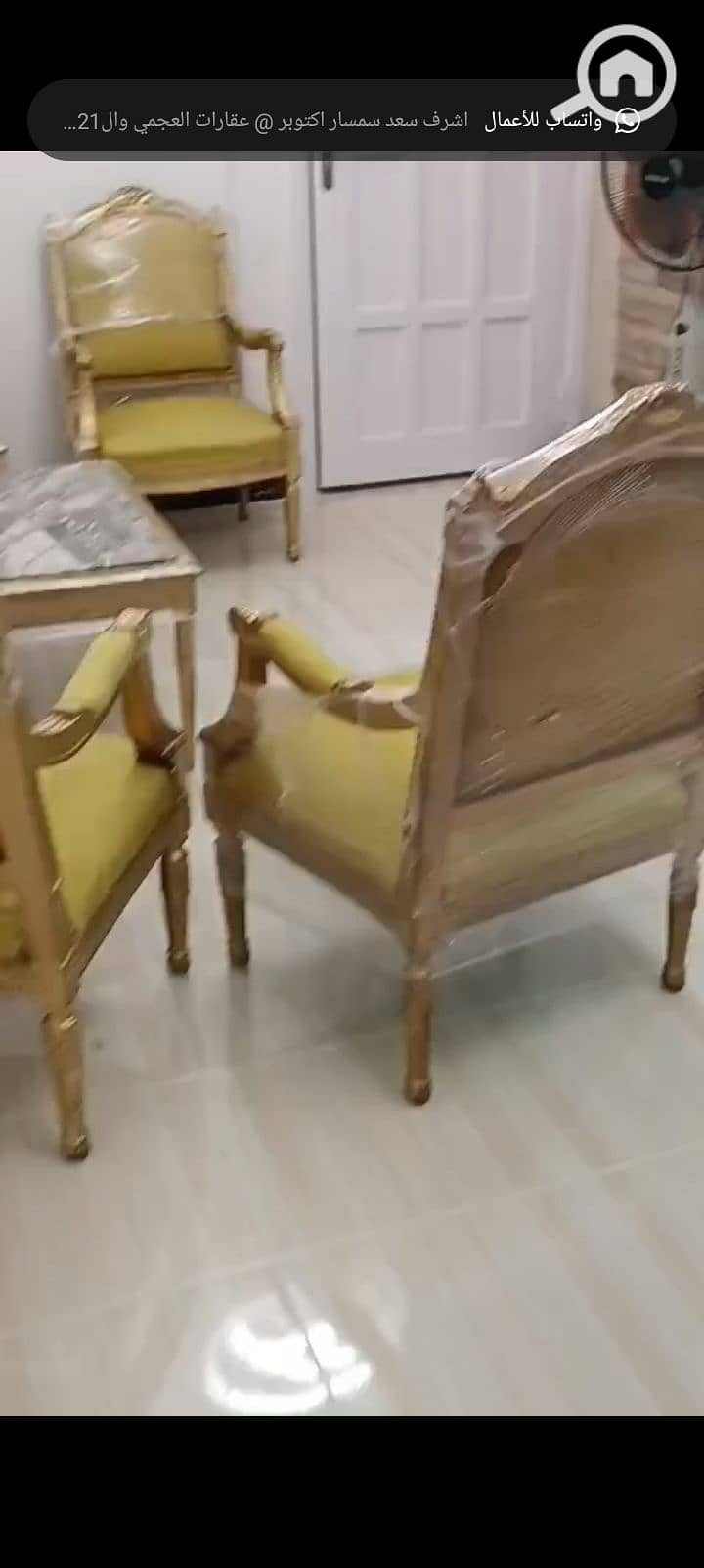 19 1001126843. jpg