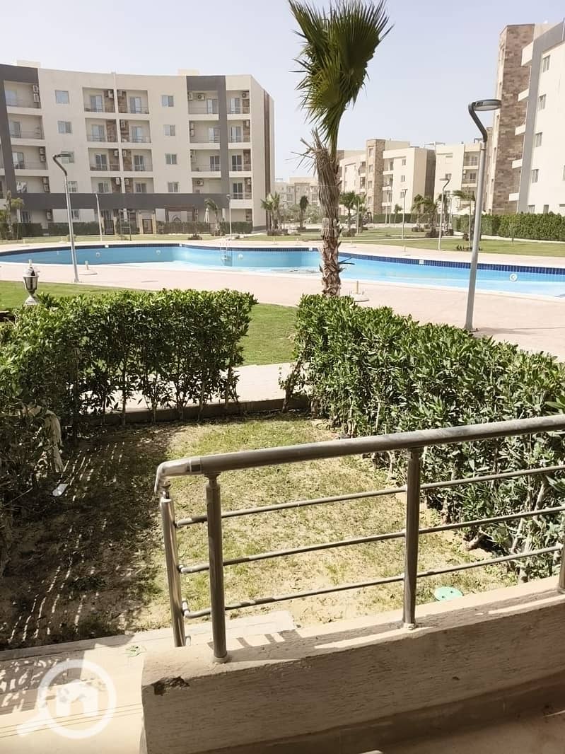 3 51641. jpg