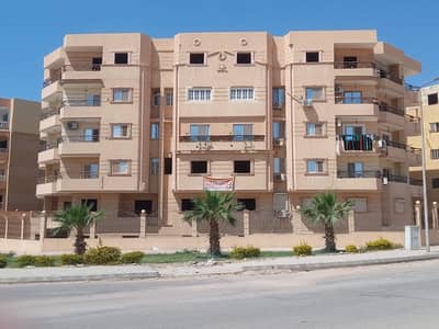 3 Bedroom Apartment for Sale in Shorouk City, Cairo - من المالك بالشروق