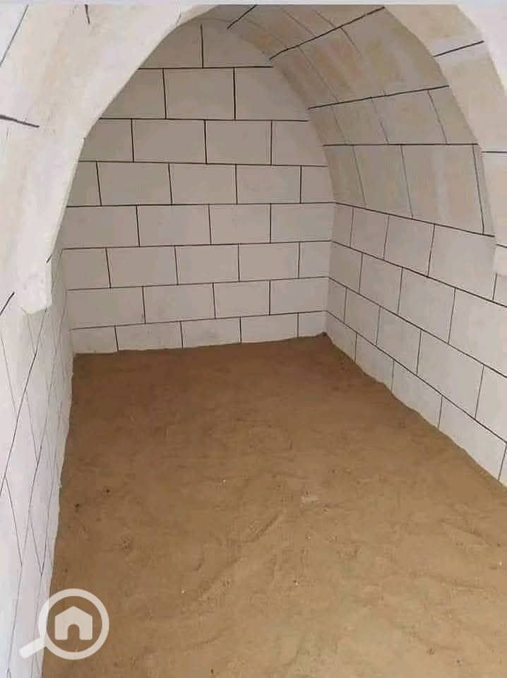3 1000323401. jpg