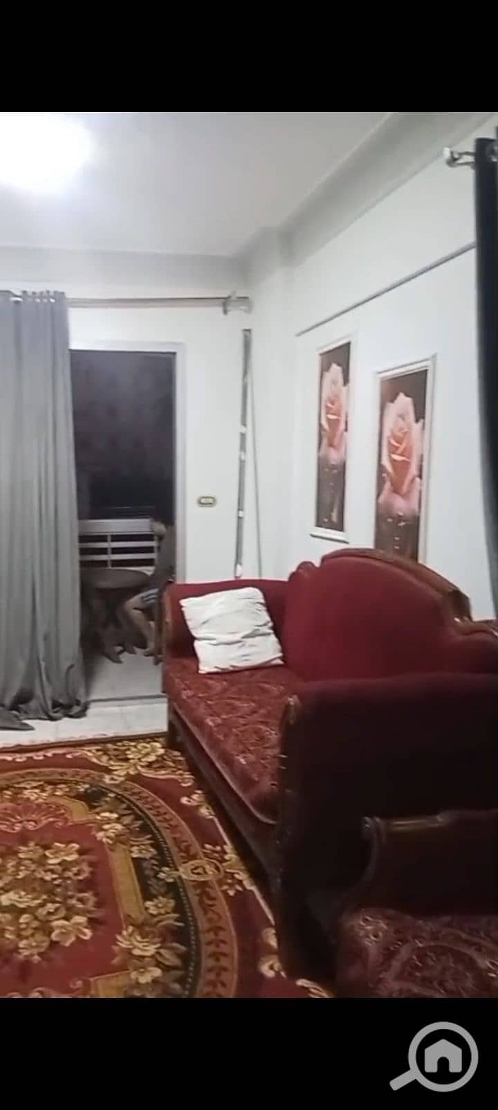 3 1001128841. jpg