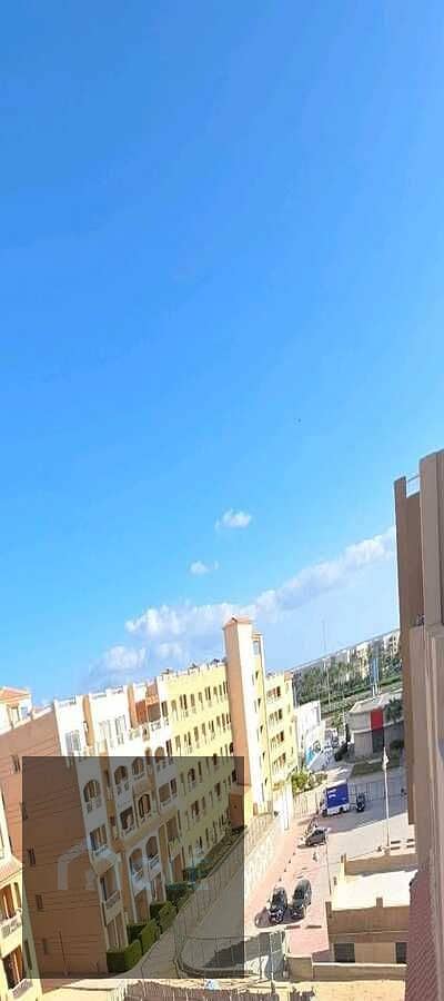 12 WhatsApp Image 2026-09-17 at 01.45. 31. jpeg