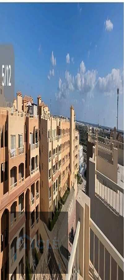 14 WhatsApp Image 2026-09-17 at 01.46. 45. jpeg