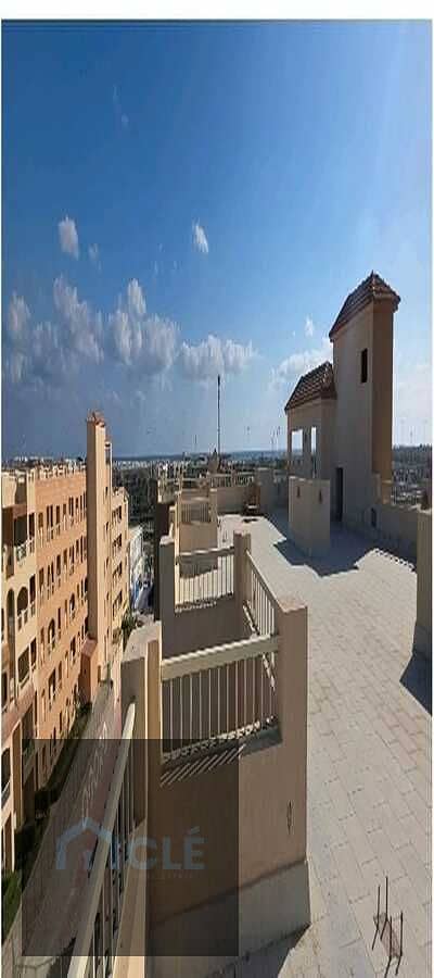 15 WhatsApp Image 2026-09-17 at 01.47. 31. jpeg