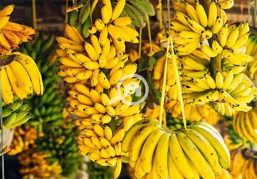 16 Banana (2). jpg