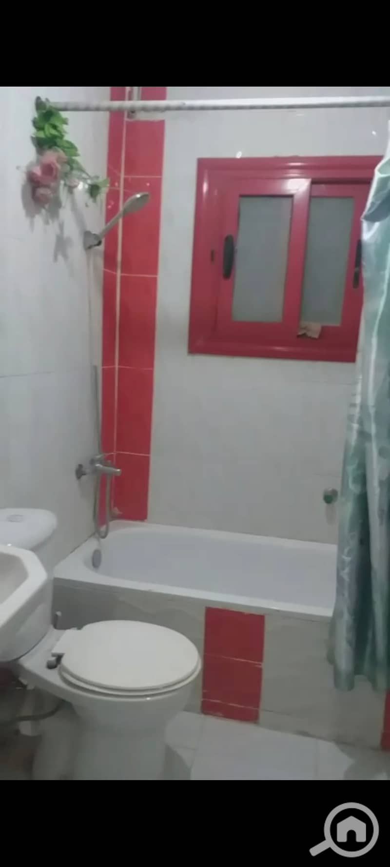 7 1000434080. jpg