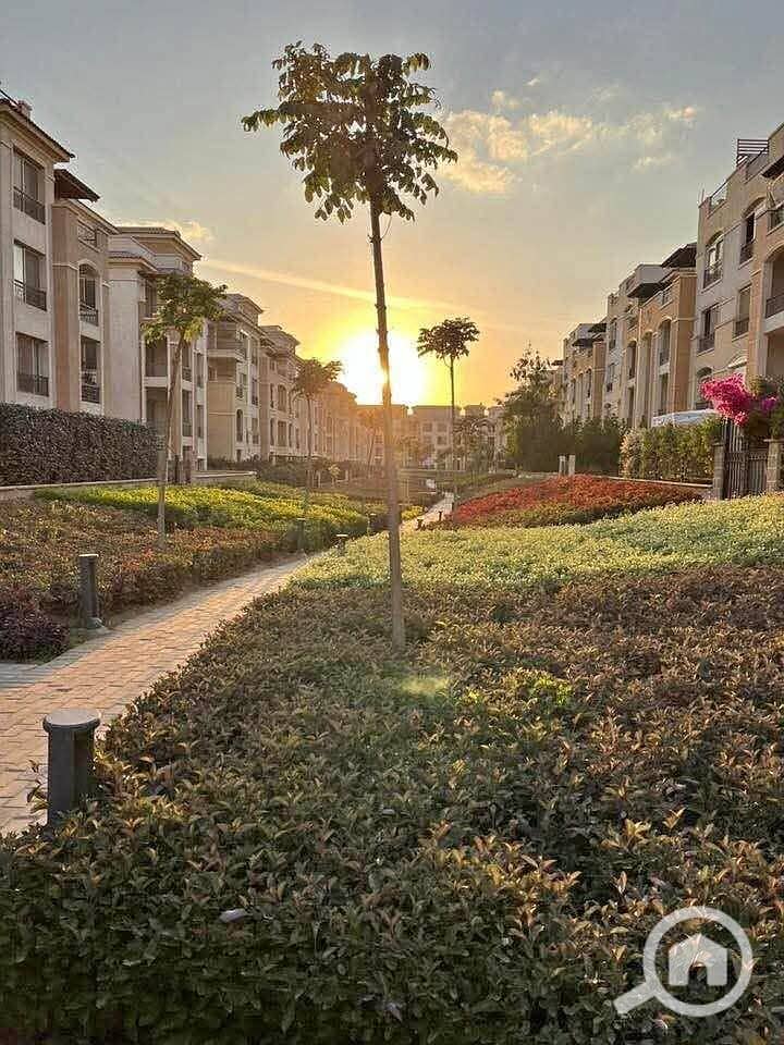 5 1000032394. jpg