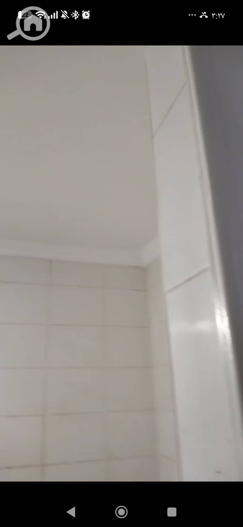 4 147391. jpg
