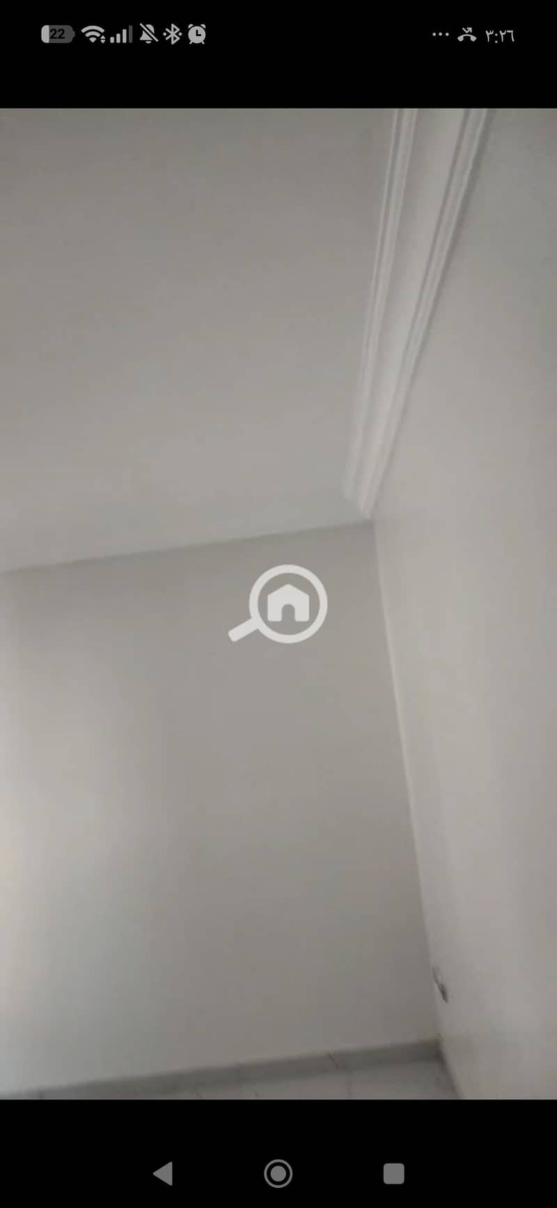 7 147382. jpg