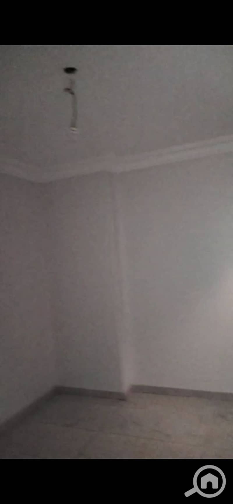 11 147323. jpg