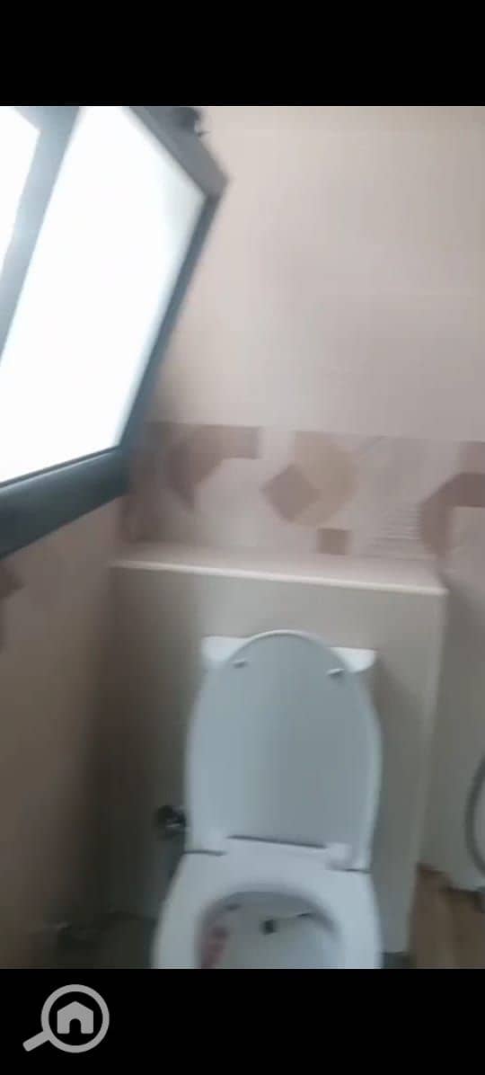 37 1001027523. jpg