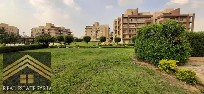 3 Bedroom Flat for Rent in Shorouk City, Cairo - 1000556052. jpg 3 Bedroom Flat for Rent in Shorouk City, Cairo - 1000556052. jpg