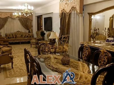 فلیٹ 3 غرف نوم للبيع في سموحة، الإسكندرية - WhatsApp Image 2026-09-18 at 12.47. 53 PM. jpeg فلیٹ 3 غرف نوم للبيع في سموحة، الإسكندرية - WhatsApp Image 2026-09-18 at 12.47. 53 PM. jpeg