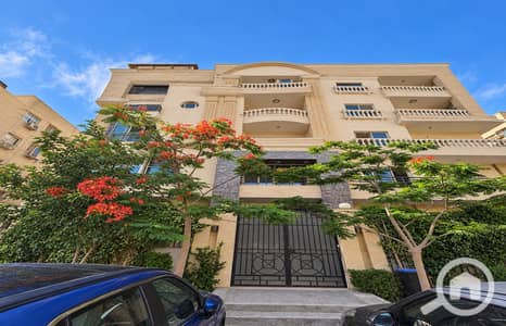 فلیٹ 3 غرف نوم للبيع في القاهرة الجديدة، القاهرة - 87313cce-2cca-43cb-872f-6b43fc6c4ec1. png فلیٹ 3 غرف نوم للبيع في القاهرة الجديدة، القاهرة - 87313cce-2cca-43cb-872f-6b43fc6c4ec1. png