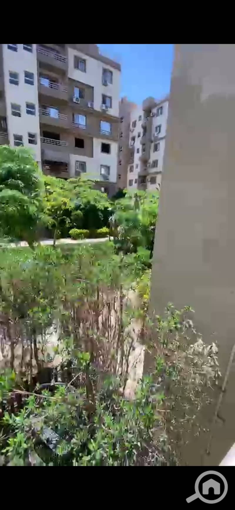 6 1000622418. jpg