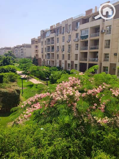 2 Bedroom Apartment for Sale in Madinaty, Cairo - WhatsApp Image 2026-09-18 at 10.11. 24 PM (1). jpeg