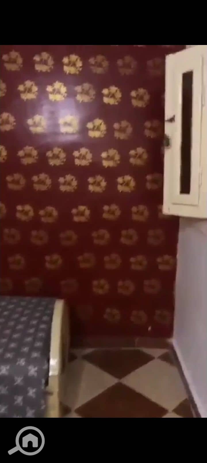 5 1001131804. jpg