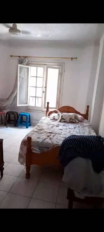 2 Bedroom Apartment for Rent in Nakheel, Alexandria - 1001131835. jpg 2 Bedroom Apartment for Rent in Nakheel, Alexandria - 1001131835. jpg