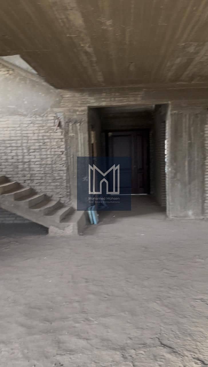 13 1000091272. jpg