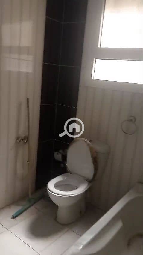 20 1000691711. jpg