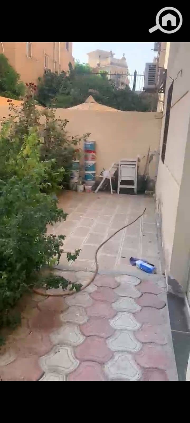 12 1000095791. jpg