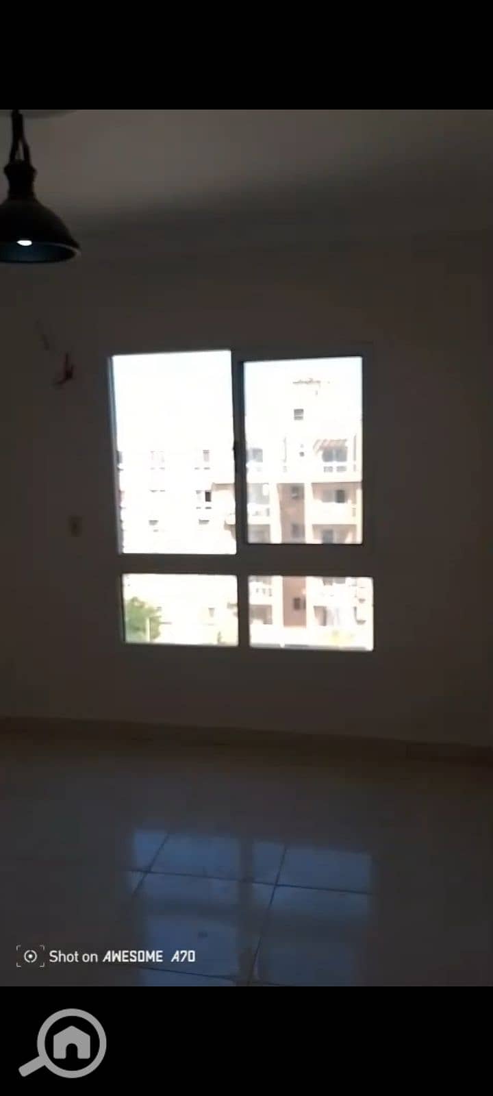12 1000095817. jpg