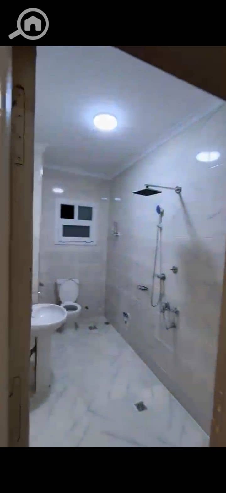 8 205691. jpg