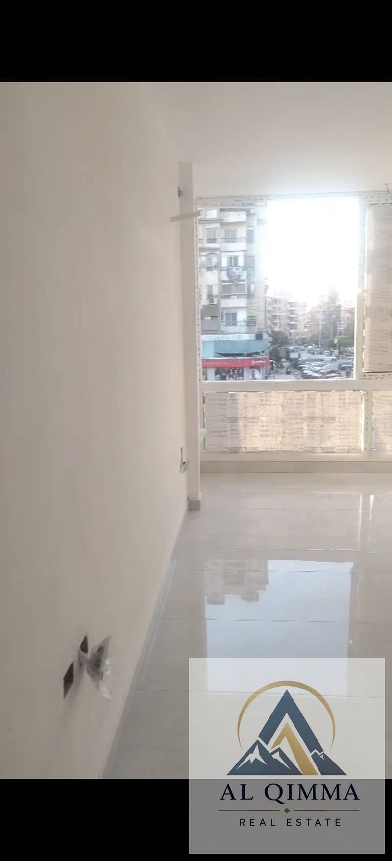 3 297471. jpg