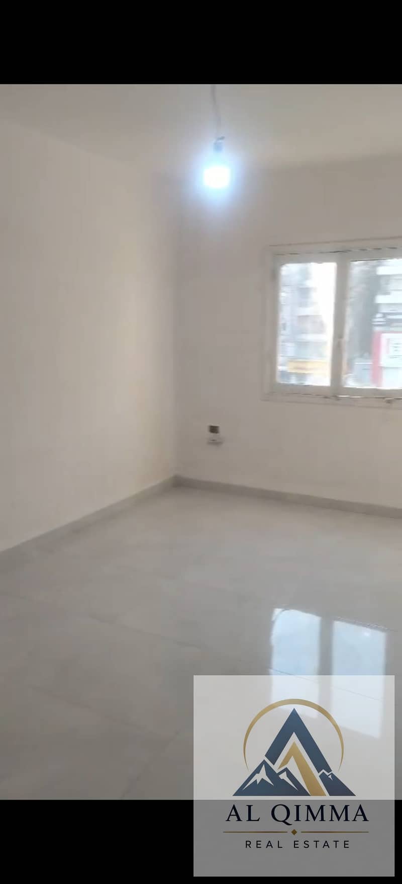 4 297474. jpg