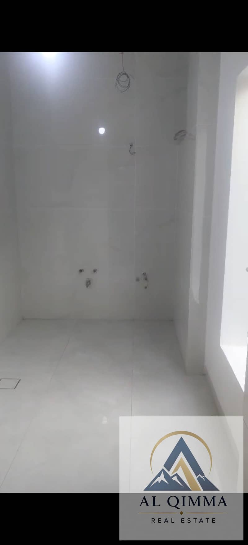 5 297477. jpg