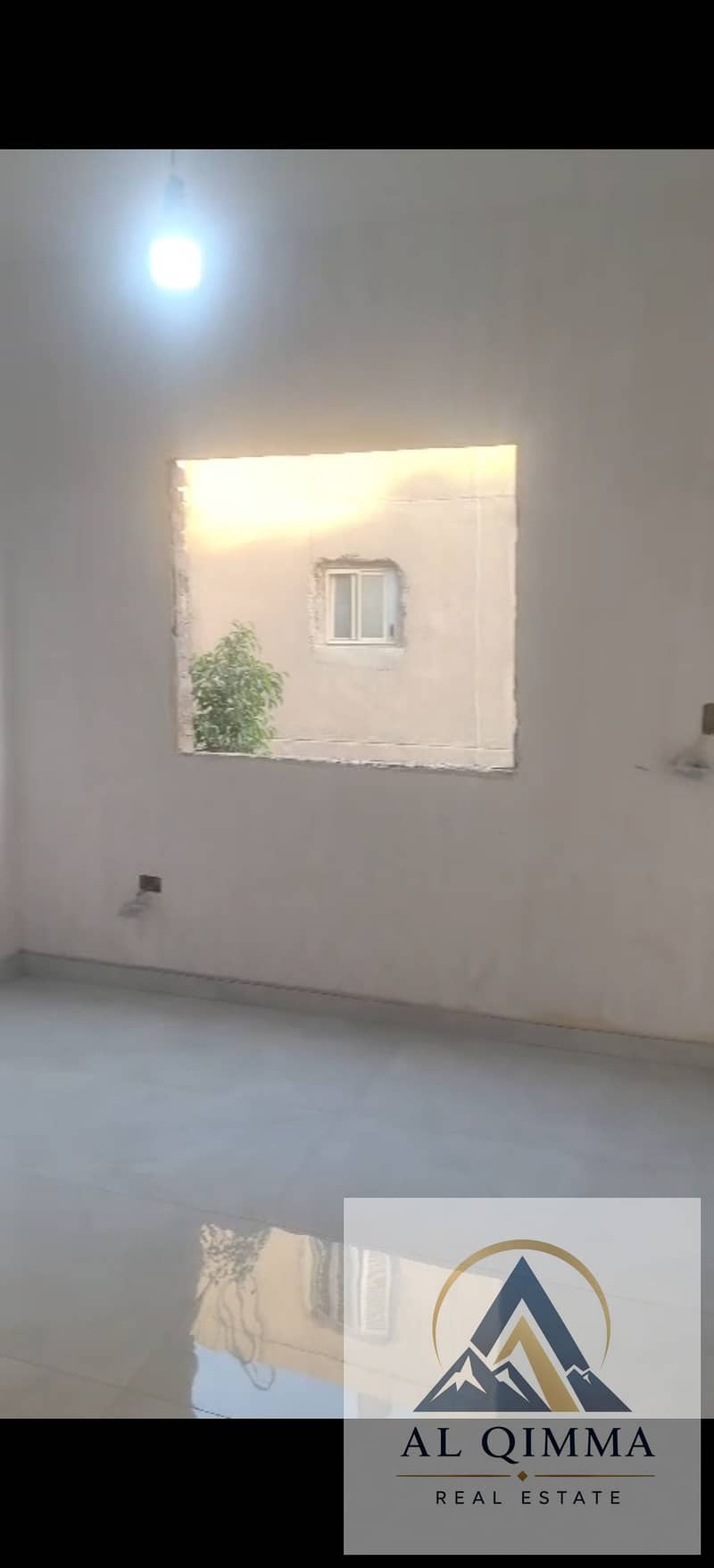 6 297475. jpg