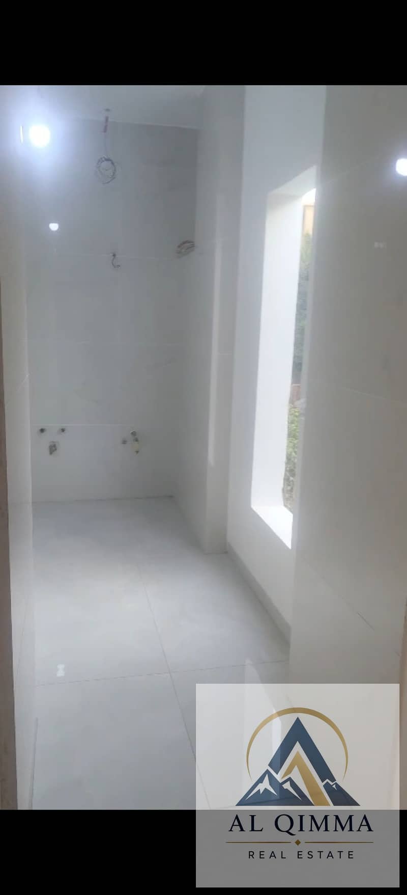 7 297476. jpg